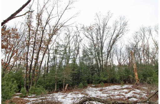 LOT18 Timber Trail, Spring Green, WI 53503