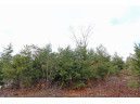 LOT18 Timber Trail, Spring Green, WI 53503