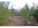 LOT18 Timber Trail, Spring Green, WI 53503