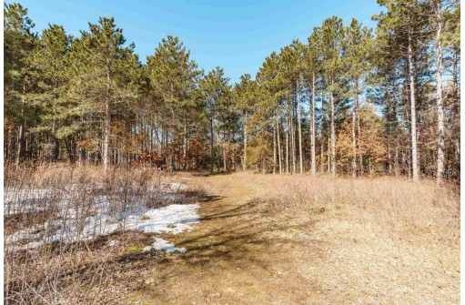 N14608 Porter Rd, Nekoosa, WI 54457