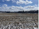 31.15 ACRES Sand Hill Road Loganville, WI 53943