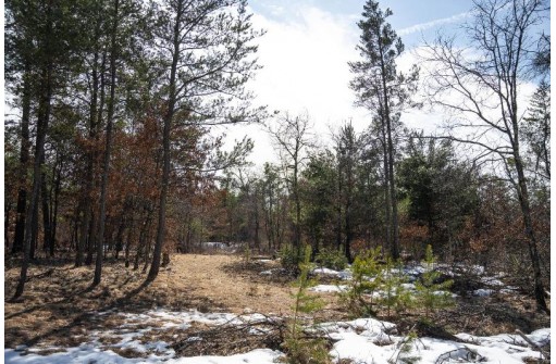 LOT 2 23rd St, Necedah, WI 54646