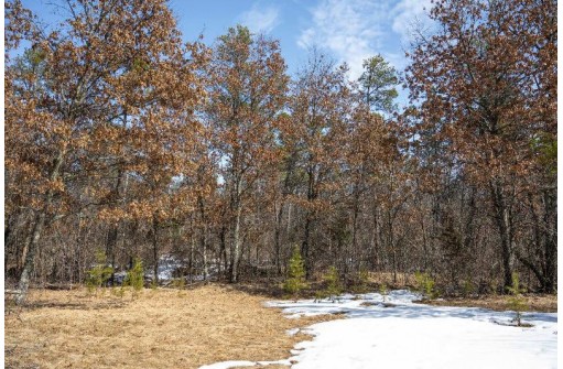 LOT 2 23rd St, Necedah, WI 54646