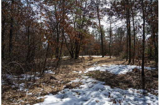 LOT 2 23rd St, Necedah, WI 54646