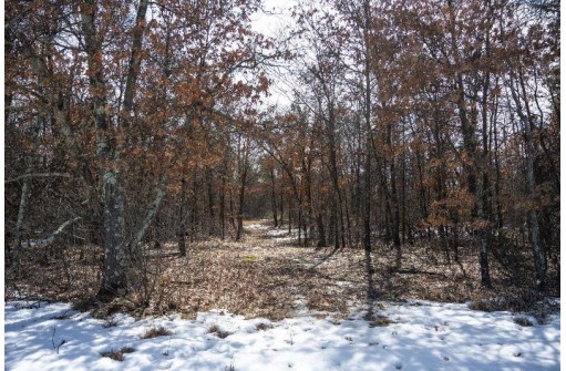 LOT 2 23rd St, Necedah, WI 54646