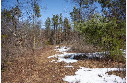 LOT 2 23rd St, Necedah, WI 54646