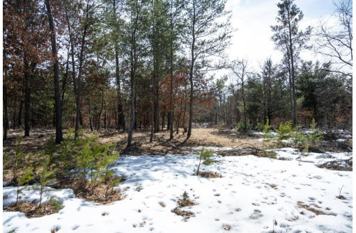 LOT 2 23rd St, Necedah, WI 54646