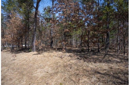 LOT 2 23rd St, Necedah, WI 54646