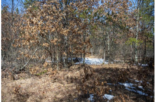 LOT 2 23rd St, Necedah, WI 54646