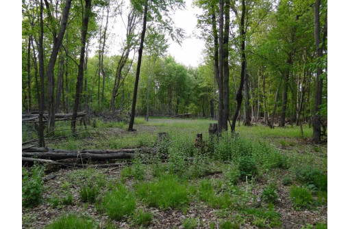 104.71 ACRES County Road Cm, Portage, WI 53901