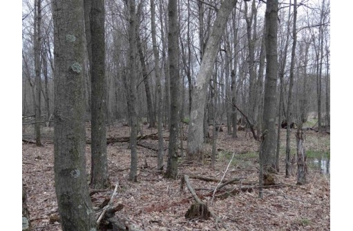 104.71 ACRES County Road Cm, Portage, WI 53901