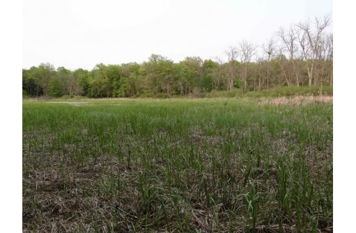 104.71 ACRES County Road Cm, Portage, WI 53901