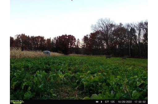 104.71 ACRES County Road Cm, Portage, WI 53901