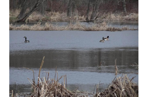 104.71 ACRES County Road Cm, Portage, WI 53901