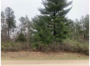 2.5 AC 8th Avenue Wisconsin Dells, WI 53965