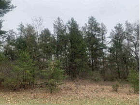 2.5 AC 8th Avenue