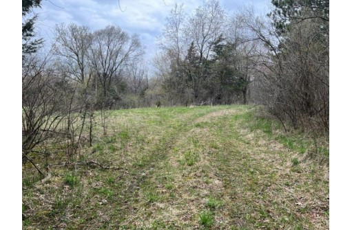 60 ACRES M/L Staufenbeil Road, Pardeeville, WI 53954