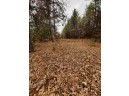 LOT 13 Amherst Drive, Lyndon Station, WI 53944