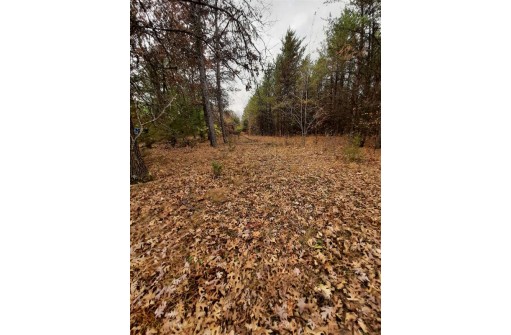 LOT 13 Amherst Drive, Lyndon Station, WI 53944