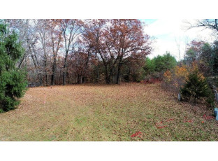 LOT 13 Amherst Drive Lyndon Station, WI 53944