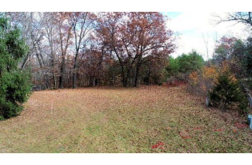 LOT 13 Amherst Drive, Lyndon Station, WI 53944