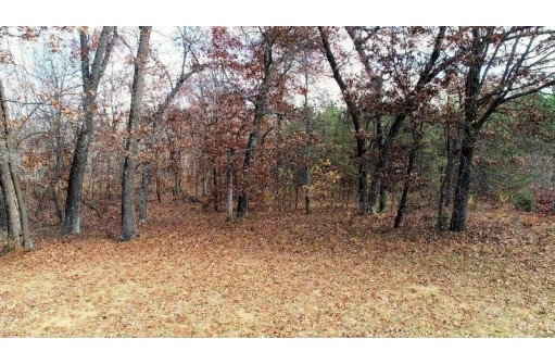 LOT 13 Amherst Drive, Lyndon Station, WI 53944