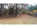 LOT 13 Amherst Drive, Lyndon Station, WI 53944