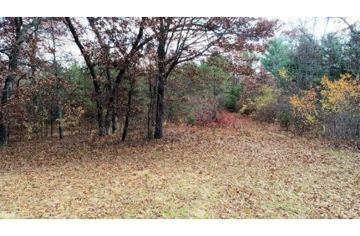 LOT 13 Amherst Drive, Lyndon Station, WI 53944