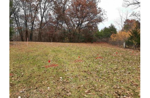 LOT 13 Amherst Drive, Lyndon Station, WI 53944