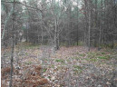 LOT 13 Amherst Drive, Lyndon Station, WI 53944