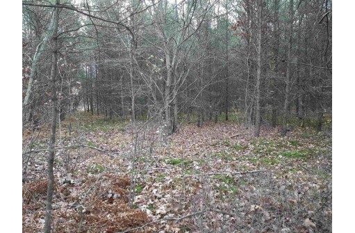 LOT 13 Amherst Drive, Lyndon Station, WI 53944