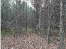 LOT 13 Amherst Drive, Lyndon Station, WI 53944