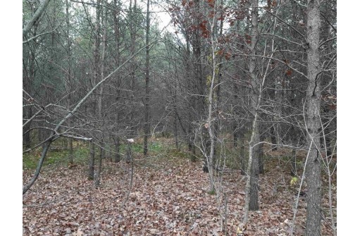 LOT 13 Amherst Drive, Lyndon Station, WI 53944