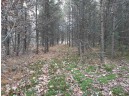 LOT 13 Amherst Drive, Lyndon Station, WI 53944