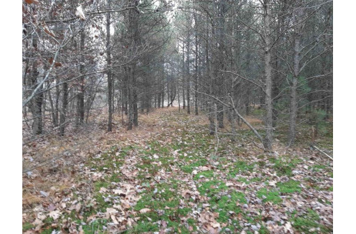 LOT 13 Amherst Drive, Lyndon Station, WI 53944