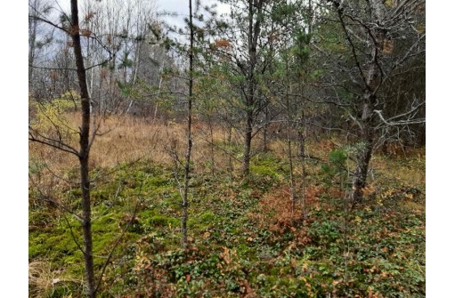 LOT 13 Amherst Drive, Lyndon Station, WI 53944