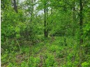 8.21 ACRES Highway 82, Viroqua, WI 54665