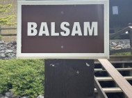 3 Balsam Tr