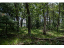 LOT 11/12 Etiers Way, New Lisbon, WI 53950