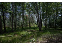 LOT 11/12 Etiers Way, New Lisbon, WI 53950