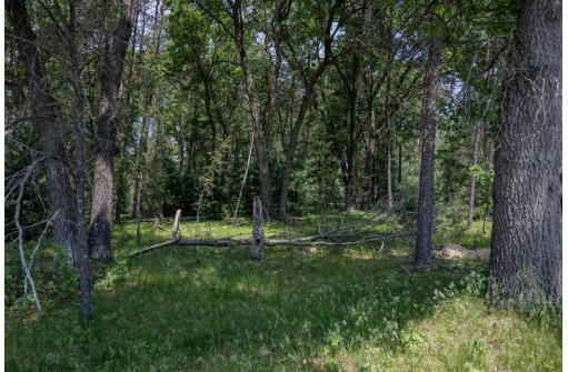 LOT 11/12 Etiers Way, New Lisbon, WI 53950