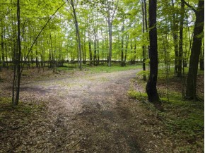 Cary Ridge Road