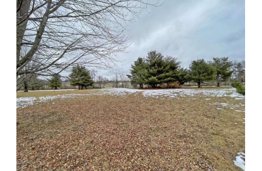 LT 7 E Redstone Trail, La Valle, WI 53941