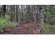 LOT 49 Menominee Shores Drive Wausaukee, WI 54177