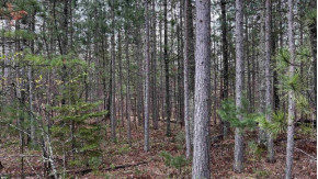 LOT 49 Menominee Shores Drive