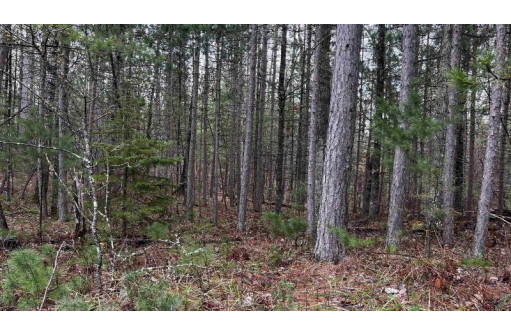 LOT 49 Menominee Shores Drive, Wausaukee, WI 54177