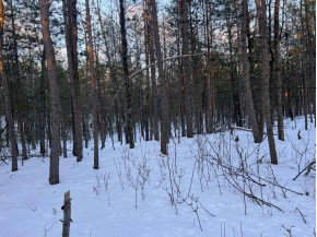 LOT 49 Menominee Shores Drive