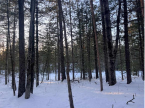 LOT 49 Menominee Shores Drive