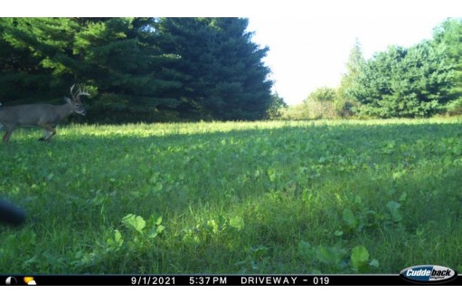 155 AC Knutson Lake Road, Ogdensburg, WI 54962