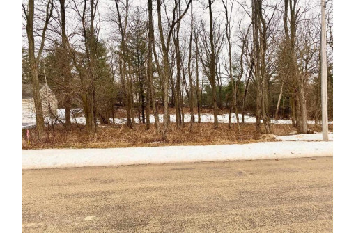 LOT 112 Michigan Avenue, Wisconsin Dells, WI 53965